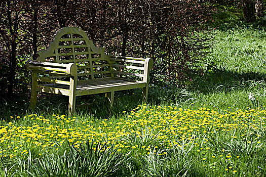 风格,木质,花园,座椅,高草,黄色