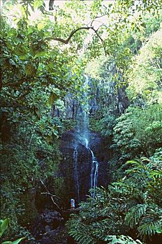 夏威夷,毛伊岛,威陆亚,山谷,瀑布,伴侣,搂抱