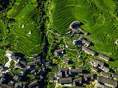 航拍中国福建初溪客家土楼群