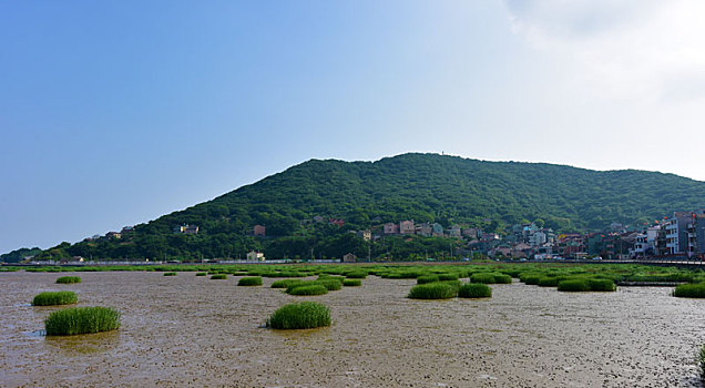 嵊泗县洋山镇风光