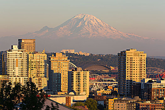 西雅图,天际线,风景,雷尼尔山