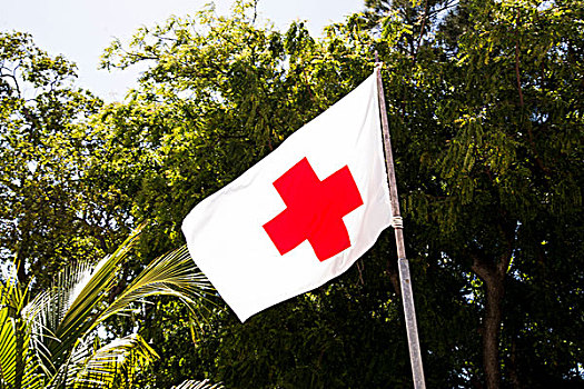 红十字,旗帜,帮助,海地