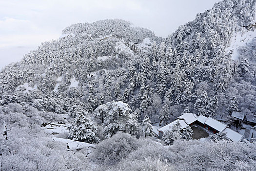 雪后华山宛如画