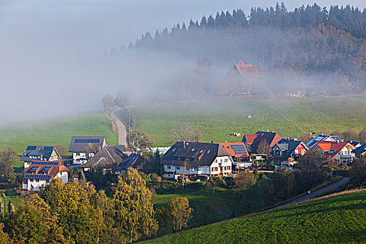 德国,巴登符腾堡,黑森林,城镇景色,晨雾,秋天