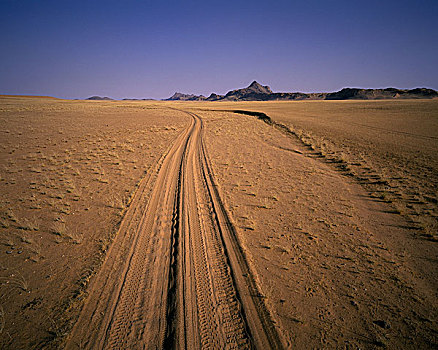 轮胎印,沙子,骷髅海岸,纳米比亚,非洲