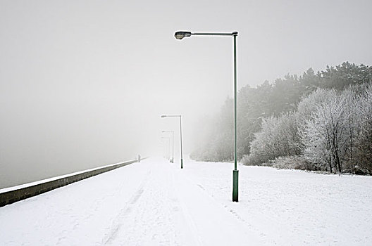立陶宛,克莱佩达,疗养胜地,宽,湖岸,散步场所,路灯,冬天,雾