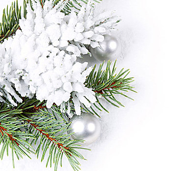 圣诞节,背景,白色,装饰,杉枝