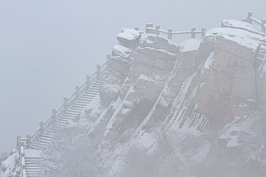 雪染花果山