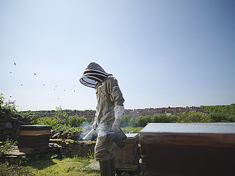 养蜂人,吸烟,蜂窝
