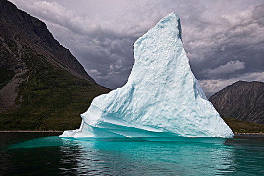 冰山,峡湾,国家公园,拉布拉多犬,加拿大