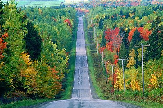 乡村道路,魁北克,加拿大
