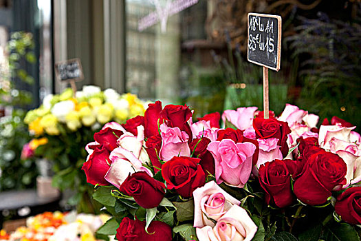 玫瑰,出售,人行道,花商,巴黎,法国
