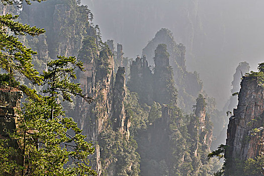 山,五陵塬,地区,风景,许多,顶峰,展示