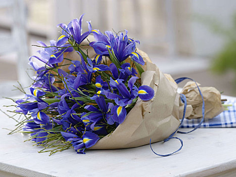 蓝色,春之花束,纸,鸢尾,越桔属