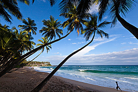 海滩,酒店,斯里兰卡