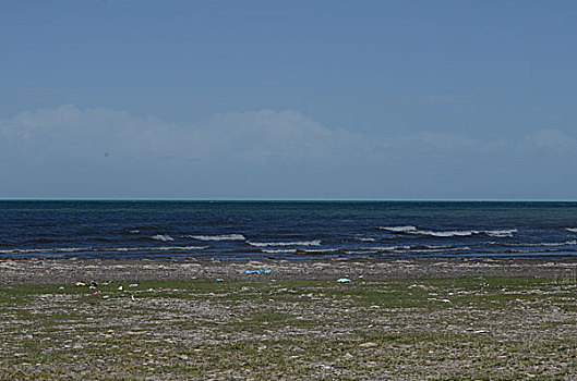 青海湖风吹草低