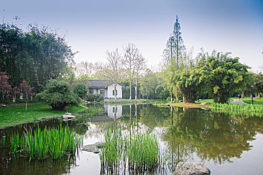 水塘小屋