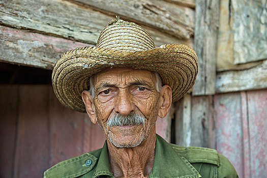 古巴,烟草,农民,穿,草帽