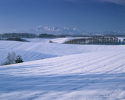 形状,山峦,山,冬天