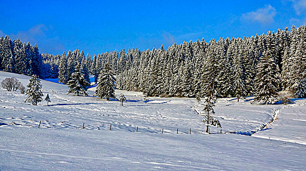 冬季风景,巴登符腾堡,德国