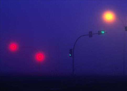 路灯,雾,艾伯塔省,加拿大