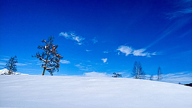 新疆喀纳斯禾木美丽峰雪景