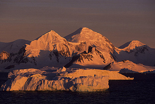 南极半岛,区域,午夜,阳光