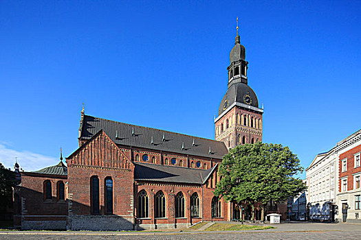 里加,圆顶,大教堂,拉脱维亚,欧洲
