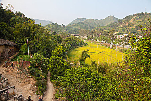 乡村,山河村,村庄,农田