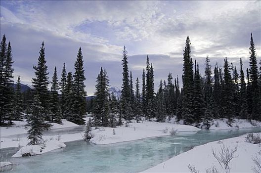 冰冻,阿萨巴斯卡河,碧玉国家公园,艾伯塔省,加拿大