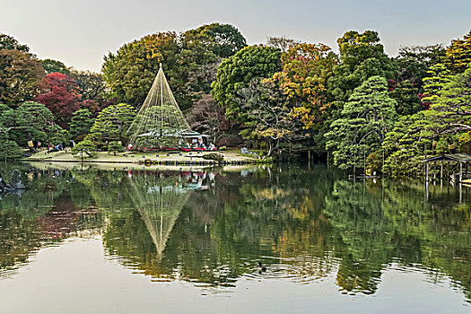 花园,秋天,东京,日本