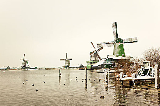 荷兰,乡村,堤岸,河,绿色,木屋,历史,风车,冬天,时间