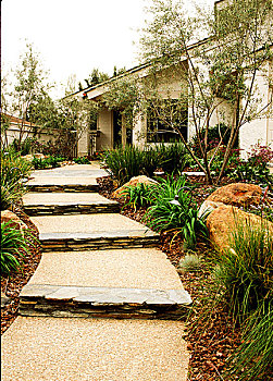 石头,小路,排列,植物,房子