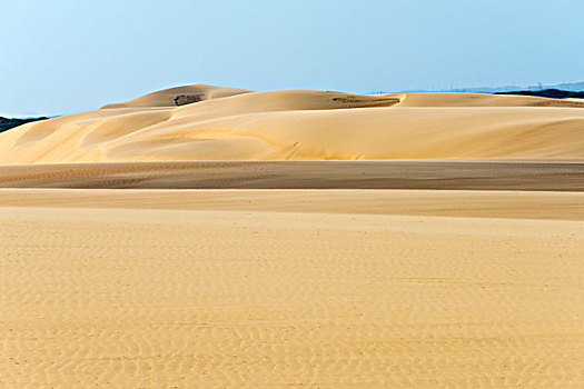 沙丘,国家公园,靠近,猎鹰,委内瑞拉,大幅,尺寸