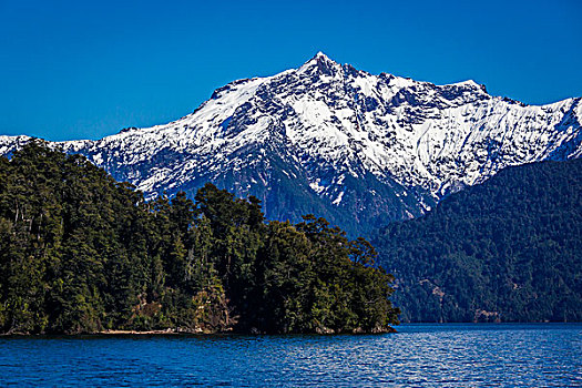 湖,蔷薇目,巴塔哥尼亚,智利