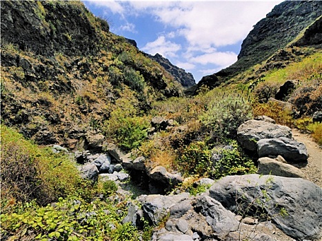 峡谷,特内里费岛