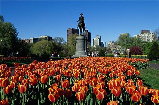 仰视,雕塑,乔治-华盛顿,波士顿公共公园,波士顿,马萨诸塞,美国