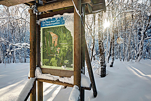 信息牌,冬季风景,红色,荒野,黑森州,德国,欧洲