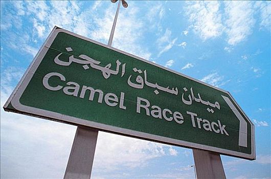 交通标志,赛骆驼,迪拜,阿拉伯半岛