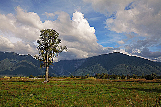 马瑟森湖lake,matheson