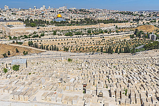 耶路撒冷,老城,古老,犹太,墓地,橄榄,山,以色列
