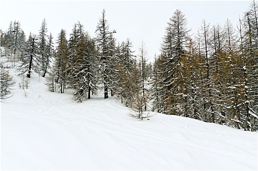 雪,山,斜坡,滑雪,区域