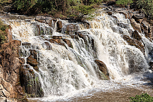 埃塞俄比亚,非洲,阿瓦什国家公园,瀑布,自然,野外