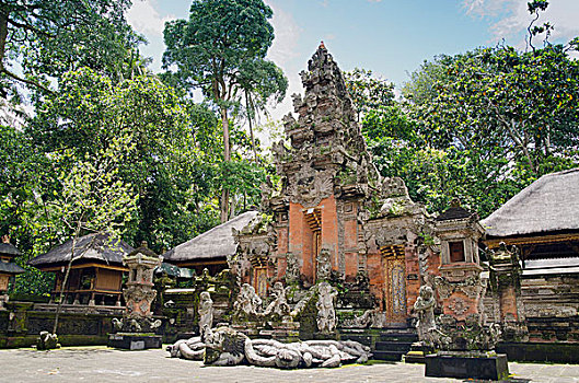 猴子,树林,庙宇,乌布,巴厘岛,印度尼西亚,亚洲