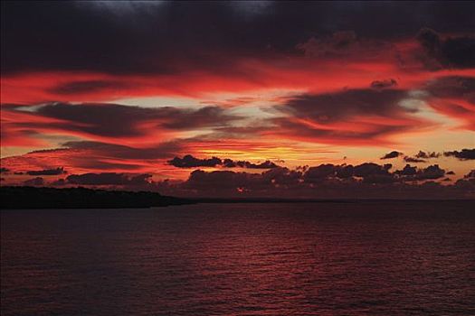 日出,海岸,马略卡岛,西班牙