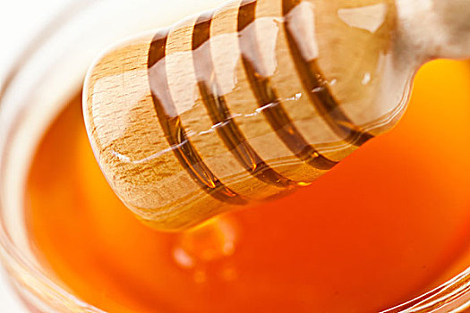 舀蜜器,蜂蜜,碗,白色背景