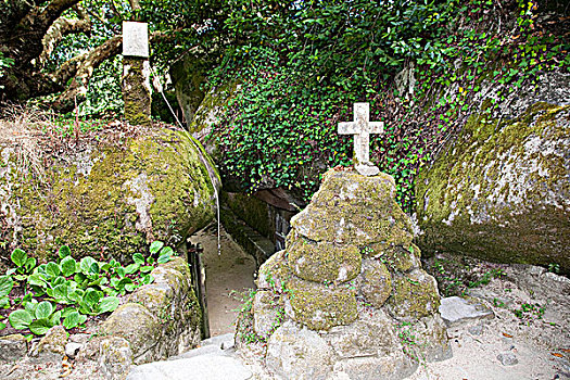 埋葬,花园,寺院,辛特拉,葡萄牙,2009年