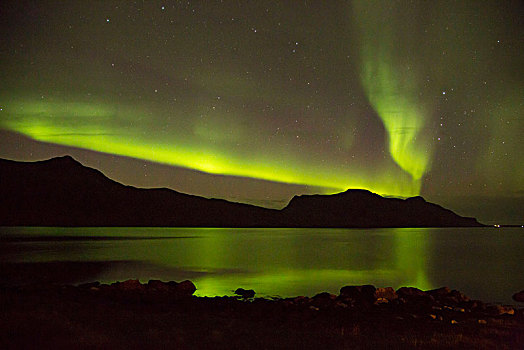 冰岛,极光,发光,海洋,星