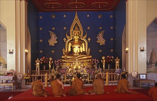 僧侣,坐,正面,金色,佛,比哈尔邦,印度