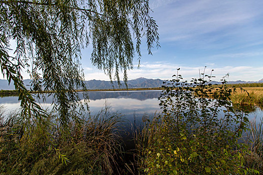 野鸭湖国家湿地公园